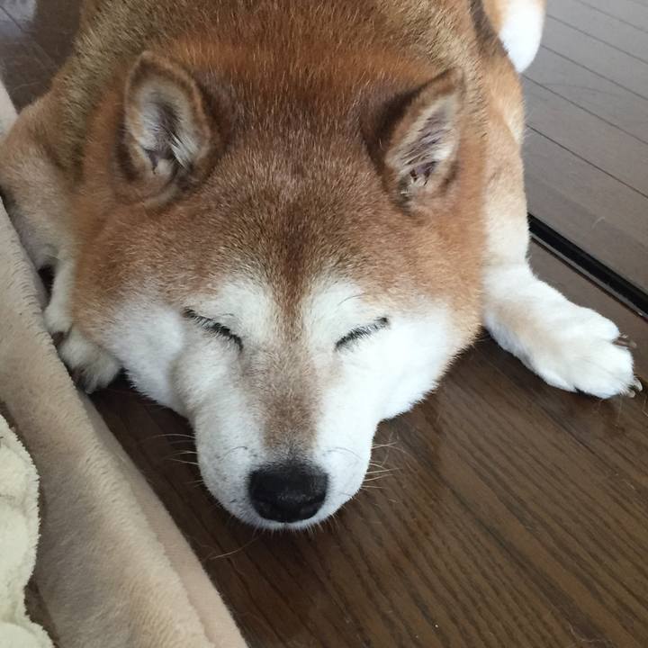 Bee852a5 4340 41a6 b6d1 2038c1483c50 1542527197239