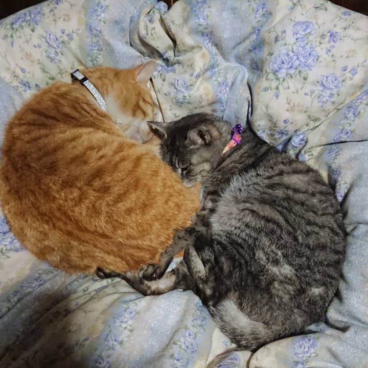 Bee854b1 c134 47a1 bf94 c2b1d4521932 1587646928220