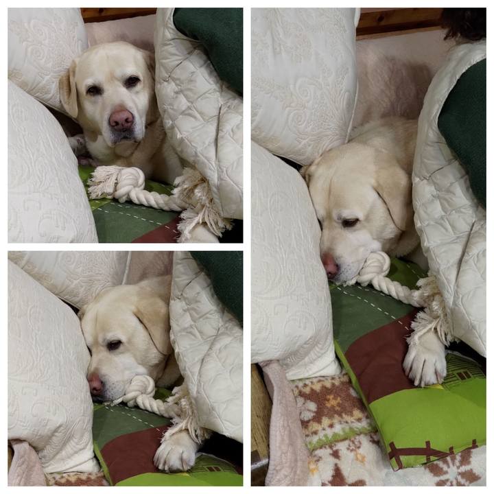 Bee8c0f3 0710 4139 8352 6c3e00d30374 1706183444745