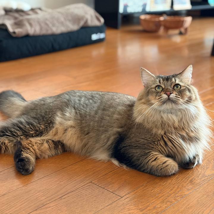 Bee8e18a c94f 497c 9d17 3ac8acca63cd 1759185714246