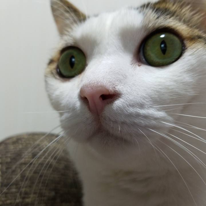 Bee8eccd b14d 4a58 b3f1 9464f44efac1 1571701002440