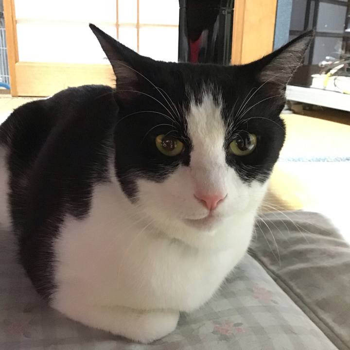 Bee907e4 cc8c 4371 bea7 78b47b45e727 1691149352744