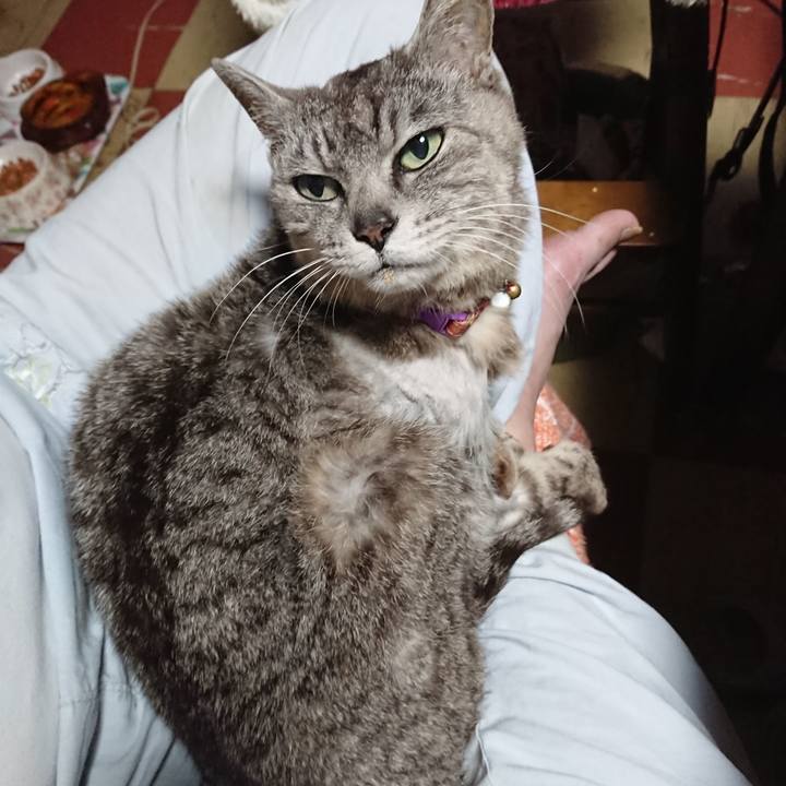 Bee91419 09e6 4ebe 8a0a 79564bbc0961 1591989623442