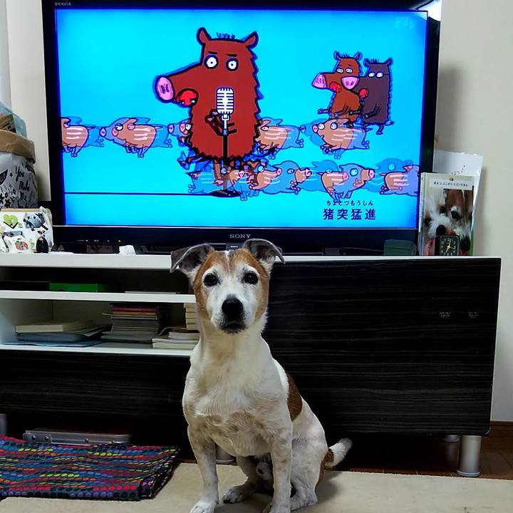 Bee958e3 d50b 4330 9765 18ca0cc1919e 1557872478180