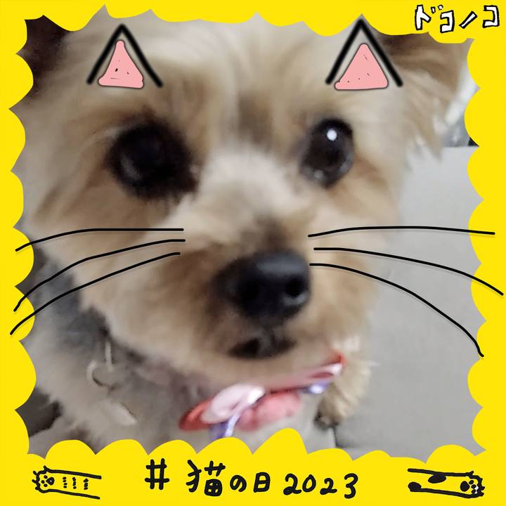 Bee9632e cf41 4709 9c4e cb3369e4d128 1677065864766