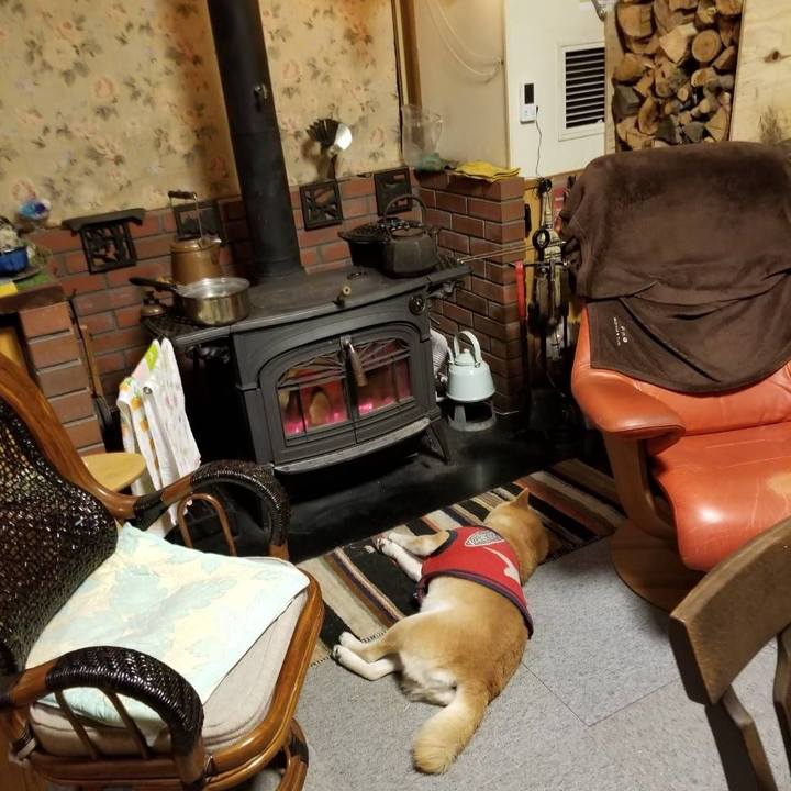 Bee9789a 62d2 481d a436 f97b922b6649 1583402145299