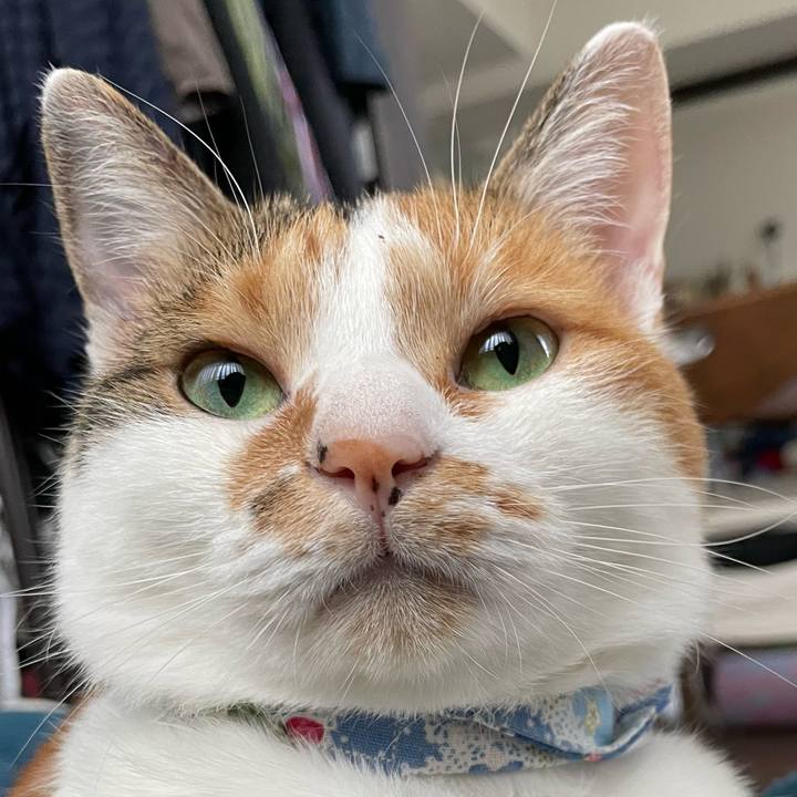 Bee989b4 09a5 4f2f 8dc7 b44c4978ad4a 1697853138133