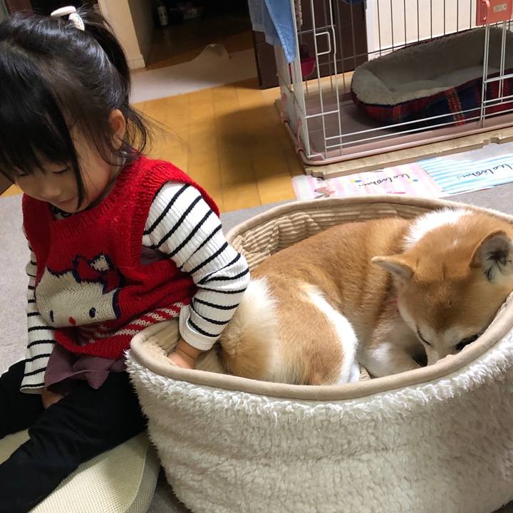 Bee996a2 3815 4301 b608 49209ae0fca4 1606616628060