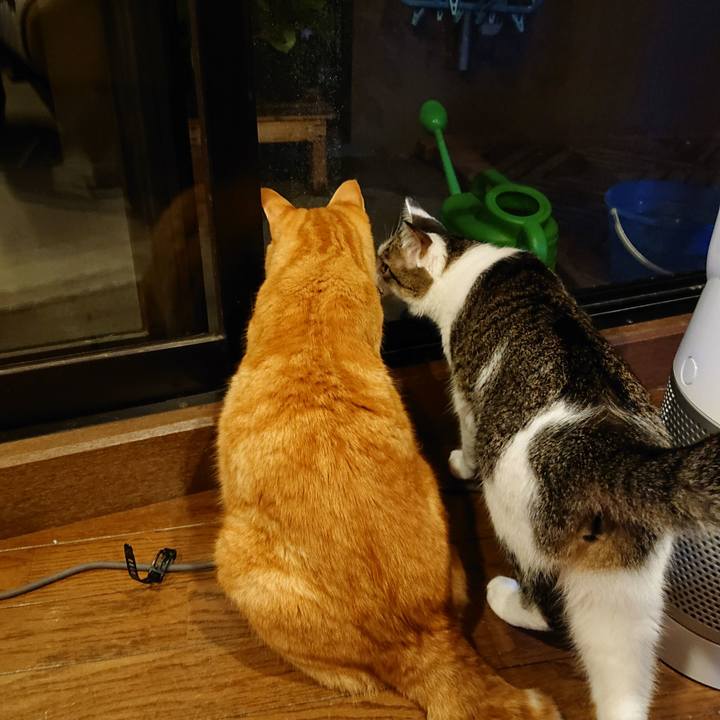 Bee9a6b0 35eb 4428 865d 6b7e21561f06 1596371433138