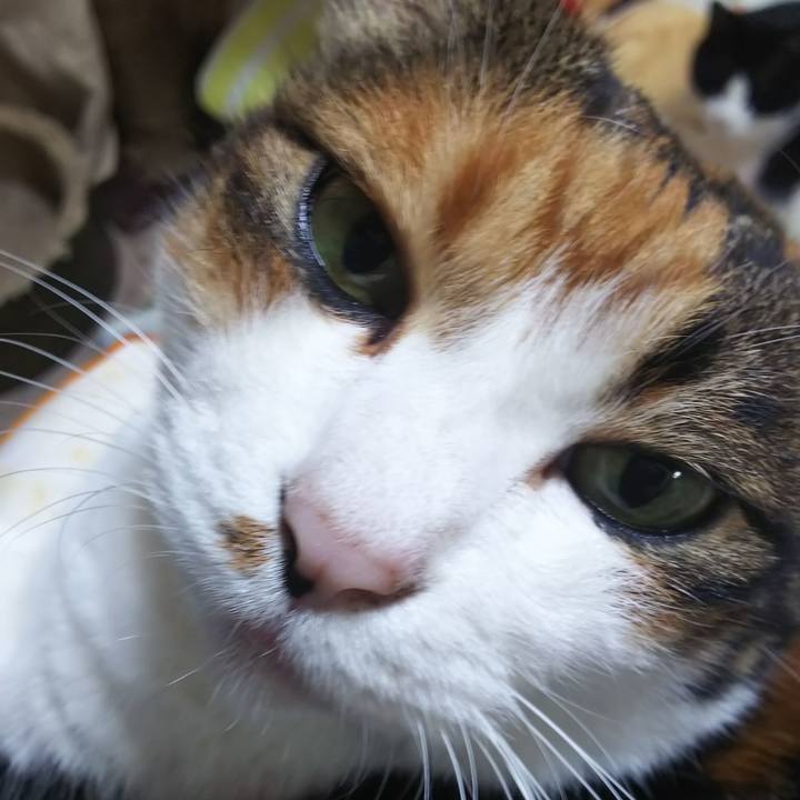 Bee9b09c bee3 416c ad81 1971b621235f 1563164322883