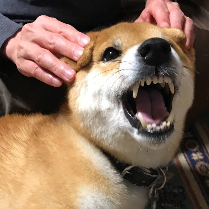 Bee9cb4c 18a1 44ed 8dbf eb8b2ea81f98 1525262352198