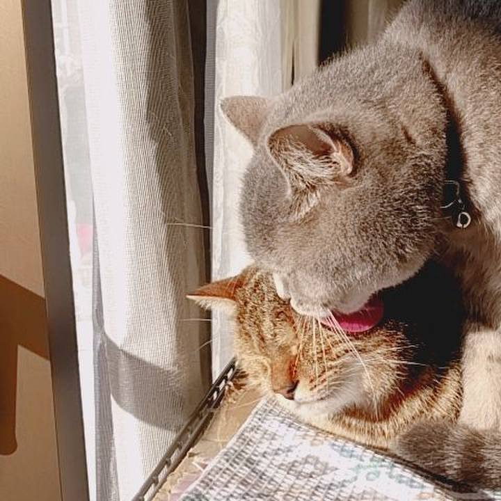 Bee9d10b 573d 415d 80f1 7a9ba20f8f79 1513998889039