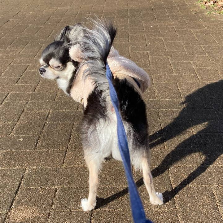 Bee9ed24 c95e 4b25 9dba 07b5a1432467 1677337399950