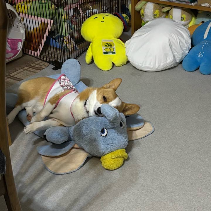 Bee9ff60 1ca9 4522 a6be 6505875f33ee 1762085519702