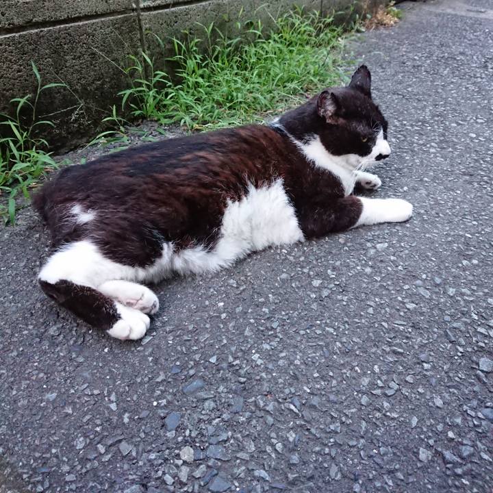 Beea5d45 b8ad 4858 a351 639b995bd9b9 1689932429022