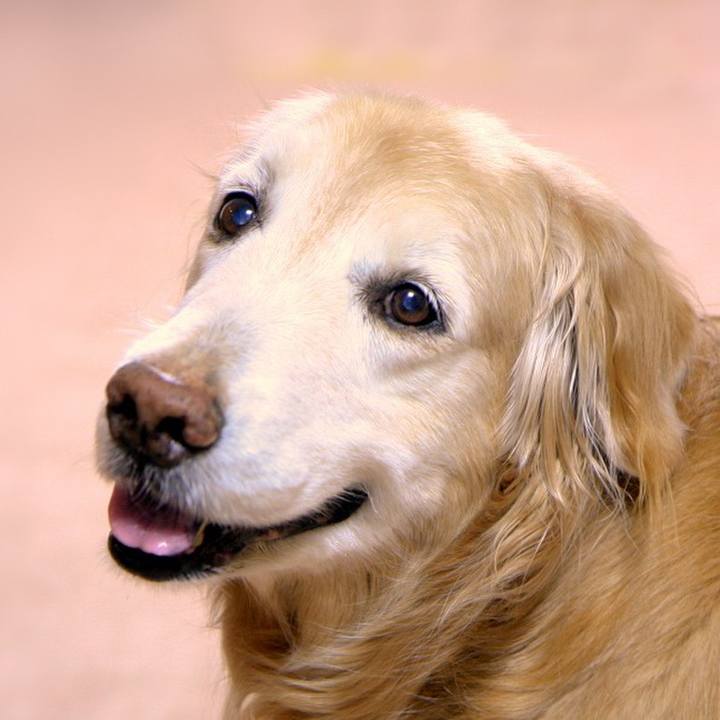 Beea6a3d 0524 4814 928b 7eb5d879e88a 1678767495921