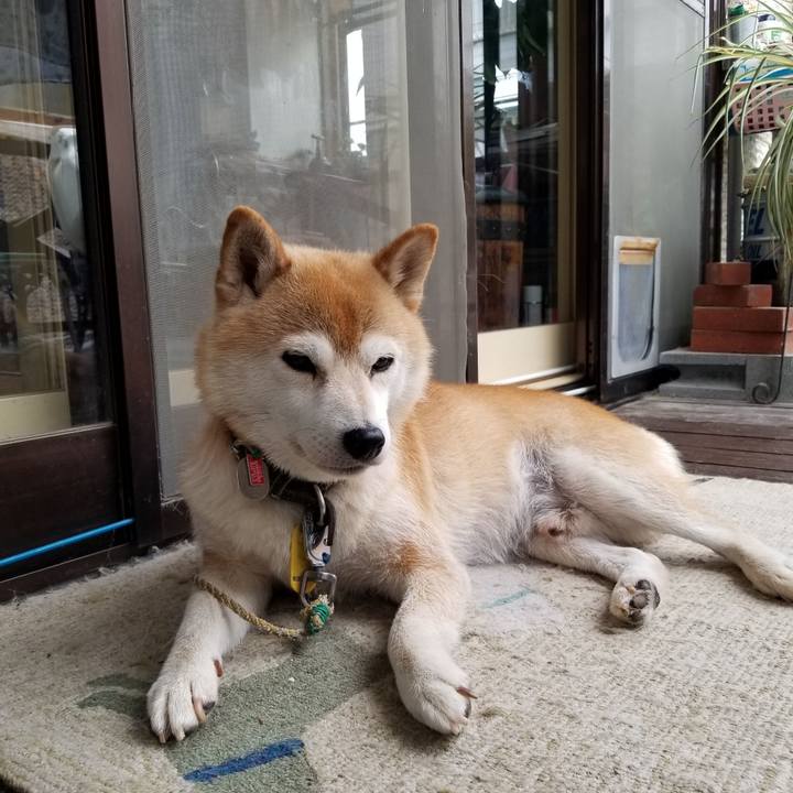 Beea6cde 578e 4225 9247 1eabbad5f5fa 1595569163019