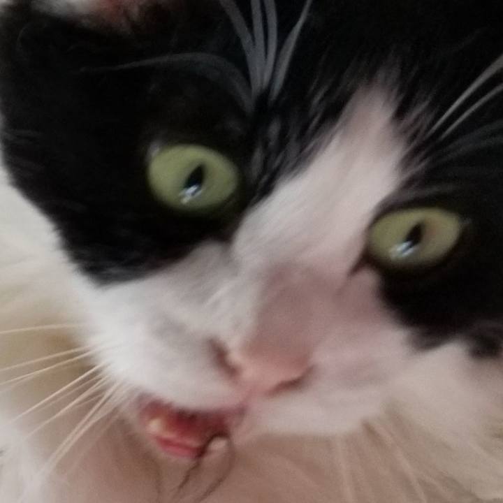 Beea72d6 aa59 4616 8d07 a23260c9beb3 1563618721953