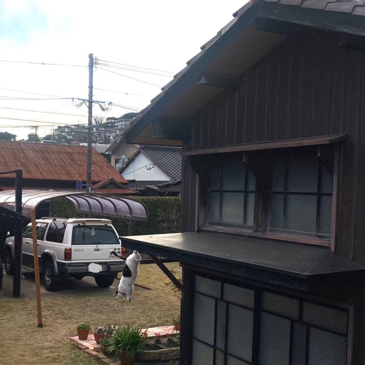 Beea7aa4 fe8e 4b97 b132 d603ffe8bbd6 1640476980315