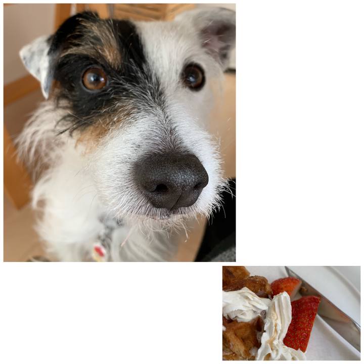 Beea99a9 a5f5 4e61 85f3 422f433286f2 1612137996168