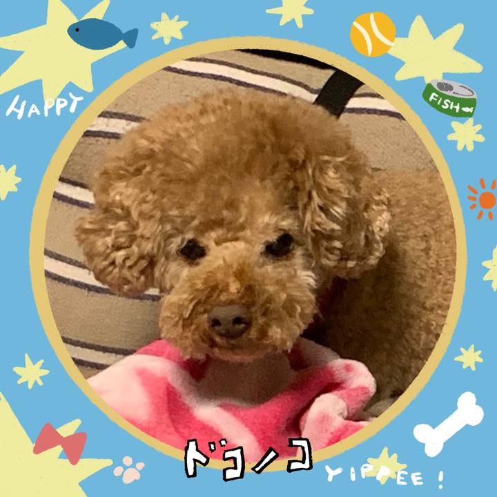 Beeadaf0 f0b6 45f6 8621 11a36e592975 1720823887657