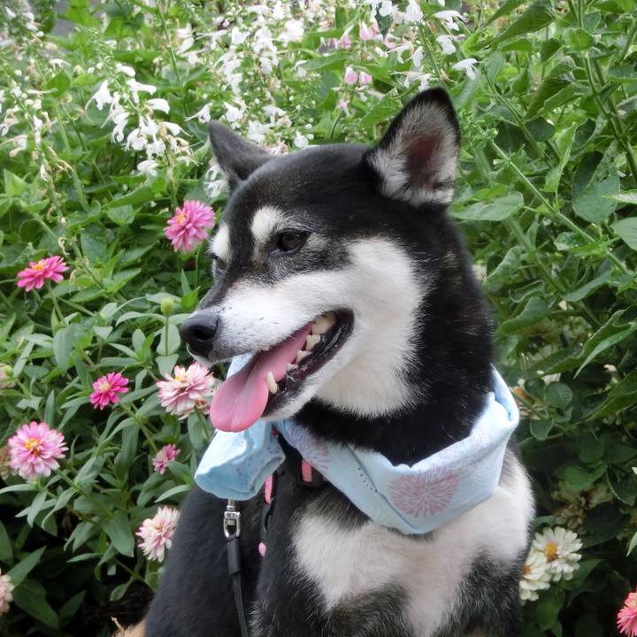 Beeae021 bc2d 4224 a7ed 7bb80f0dfeaf 1533810619227