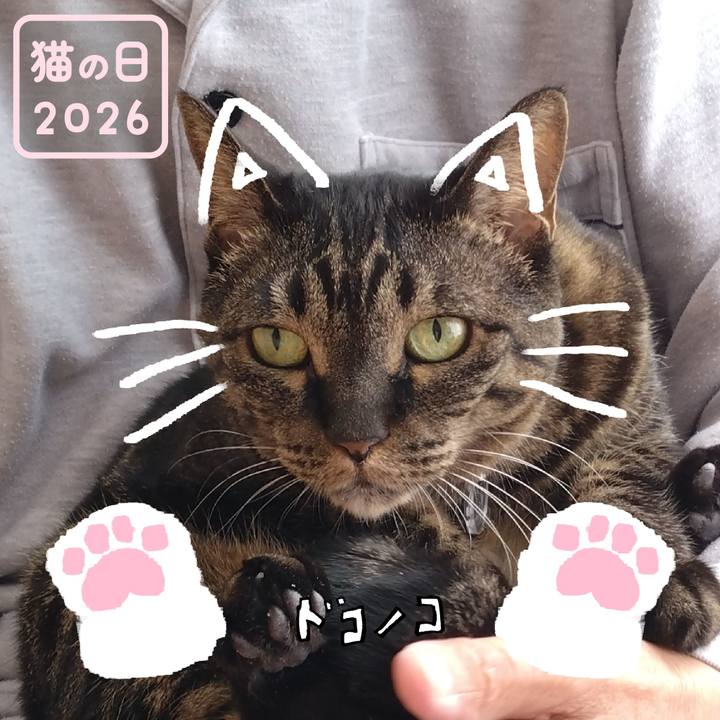 Beeb204d 7e1e 4663 bffd 75b447019e05 1771717816313