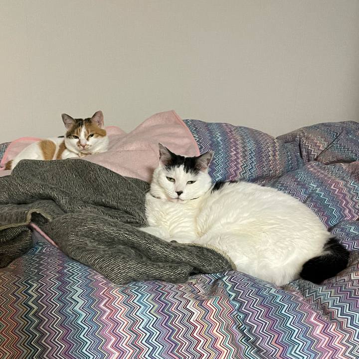 Beeb25a3 dd14 46e8 81dc 4e5270f35a2e 1641637950442