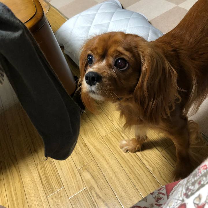 Beeb95b9 dd48 4686 99b9 1345d6b78d60 1534329514384