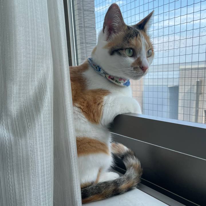 Beeb9d7e 0970 4a20 8fec 3281907a5a91 1721791974194