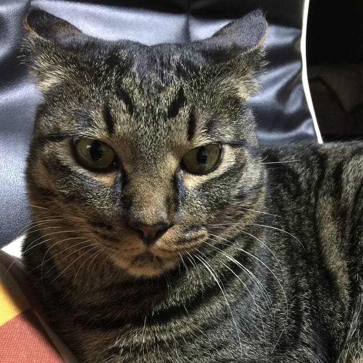 Beebd77f 7c70 4829 9753 aea84d191563 1566690403640