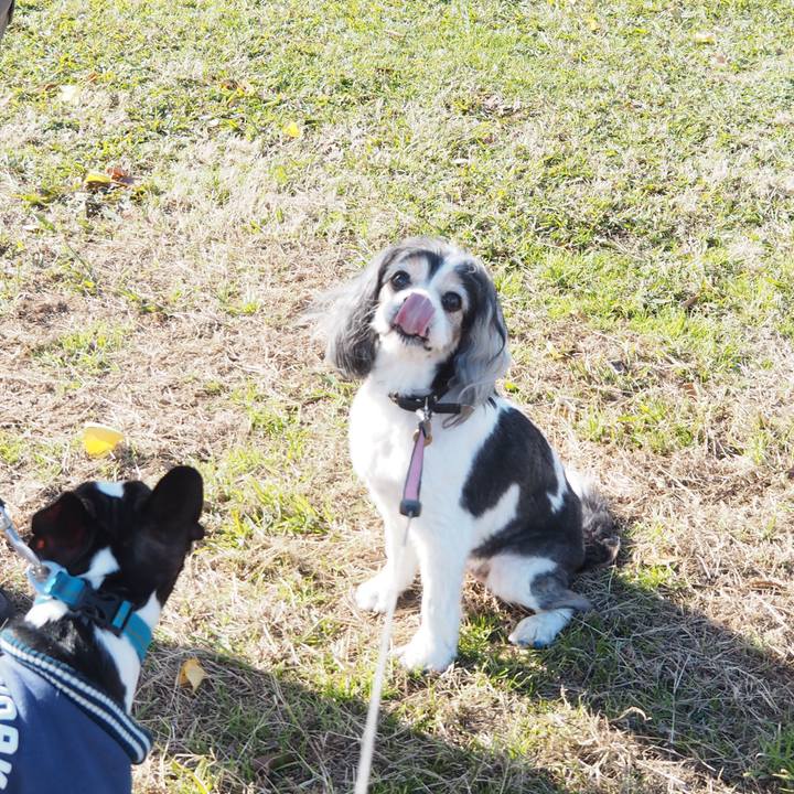 Beebdc18 7197 41b2 b926 27d9cf6cd3ed 1576384075132