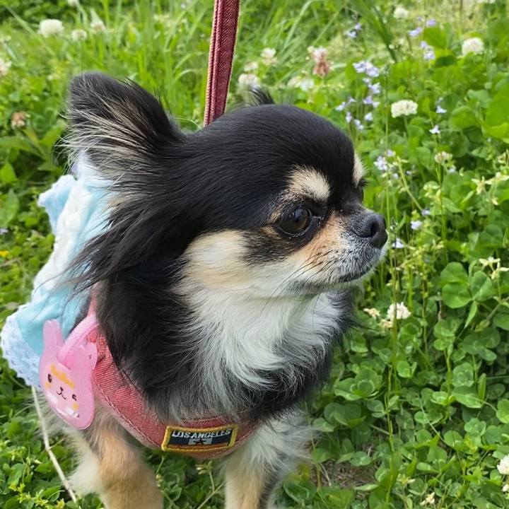 Beec1124 78ed 4480 b656 560d24524ab2 1618195828937