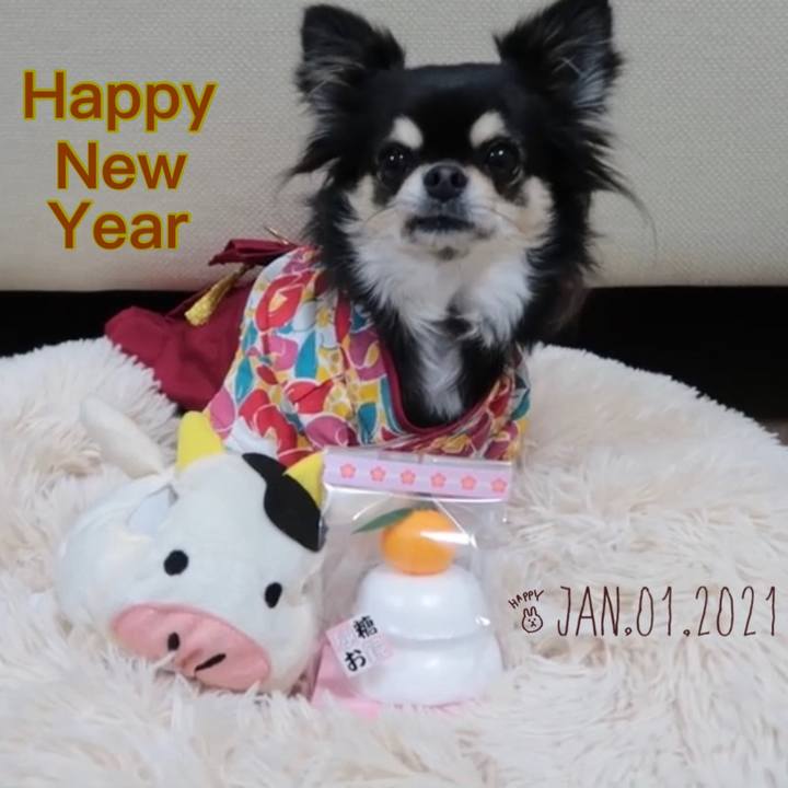 Beec1c46 0ef2 4891 b8a5 ed22dd4af8fc 1609452729263