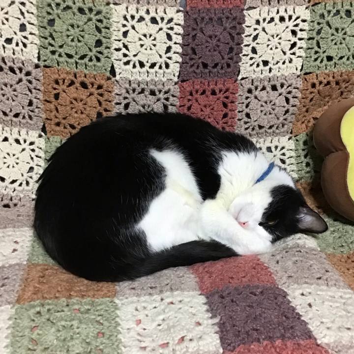 Beec2bb1 b210 4f50 8d8f 0b24669a08b8 1704801688847