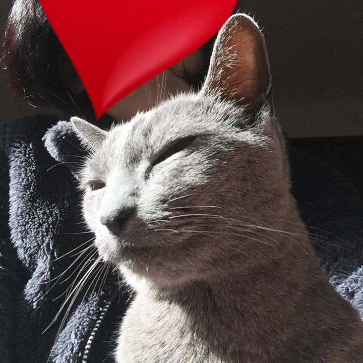 Beec4ee1 768d 4c58 907f 0b6183e72b42 1545653461678