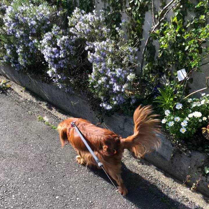 Beec5802 a8b8 490b 8fcc 1b1256123b0b 1584789323262