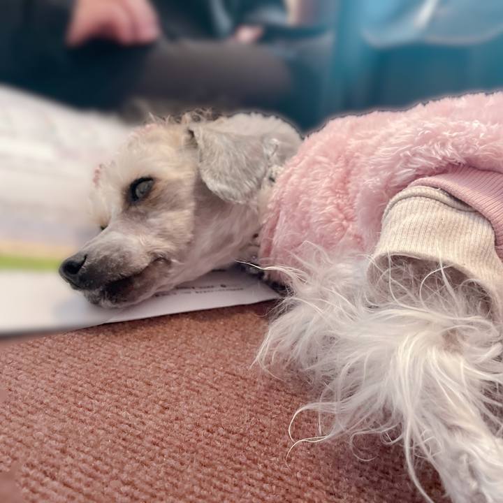 Beec619c 08cb 41f6 9db1 ec20b390fd14 1770282036006