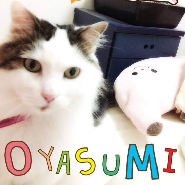 Beecc6cb 69f4 49f8 b1f2 fc0bef1807b0 1632982314401