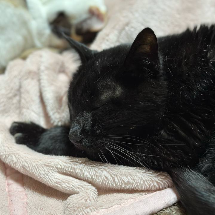 Beecfd1d 299f 484a a03a 563a5897e44a 1700962309427