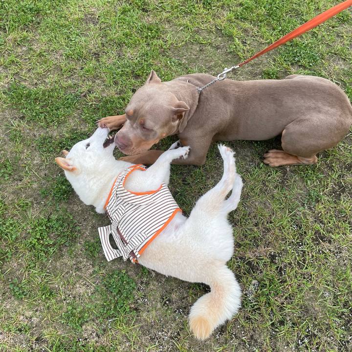 Beed24ea 82aa 411a a2ff 103346c12697 1655472139728