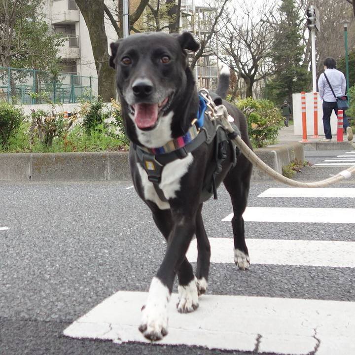 Beed2db2 cc33 47a1 a220 5cc172ce65ad 1649206595854