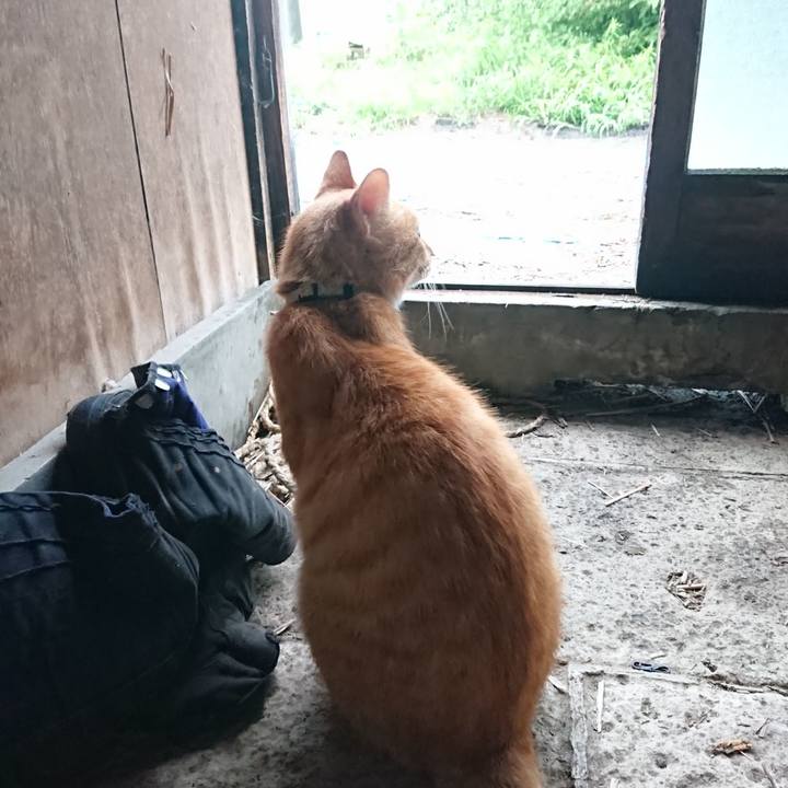 Beed6a8f 1715 4fca bda3 4275da21686e 1594718172424