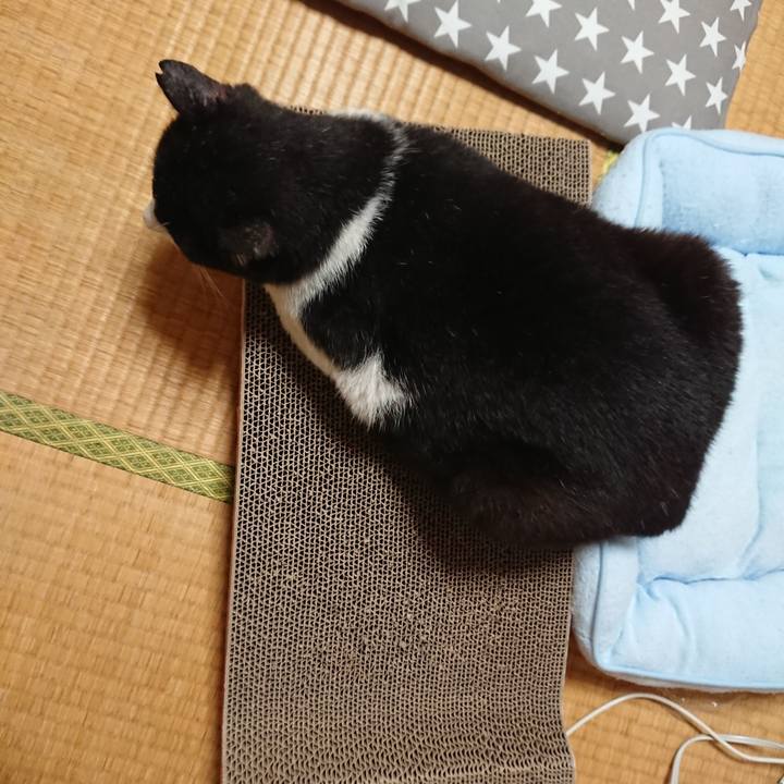 Beedf06f 35e5 4069 864a d5e0ce77e2bb 1561795089356