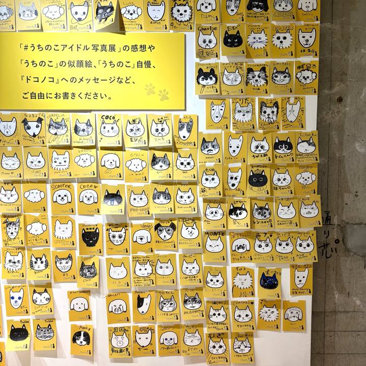 Beedfd86 e541 44c4 9b8d 46b6d8f6664b 1762079780278