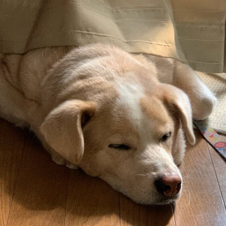 Beee1b0f 0814 43cf b954 96124022b6d1 1600659797700