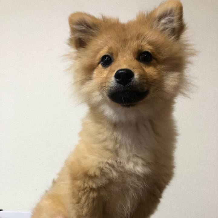 Beee6b89 b47c 4776 b919 a5b20caf45fe 1579165268064