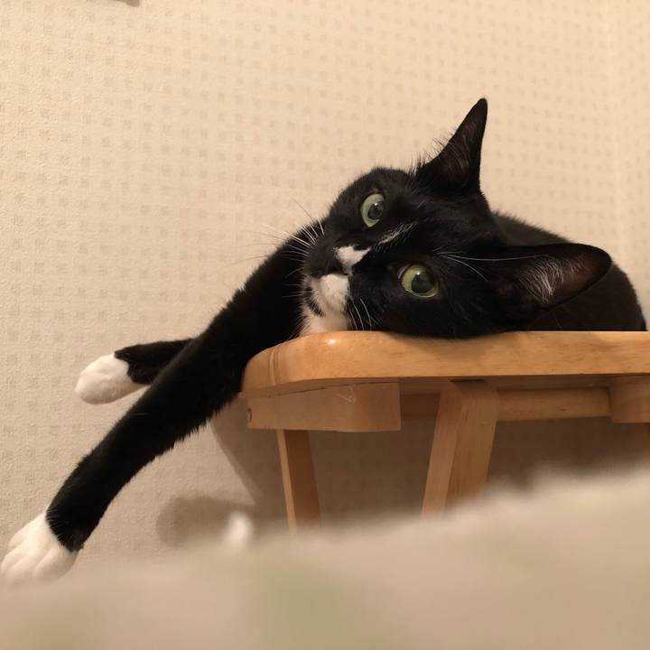 Beeeaaba 7b26 4b5d 92a9 db5aa82971be 1532989081439