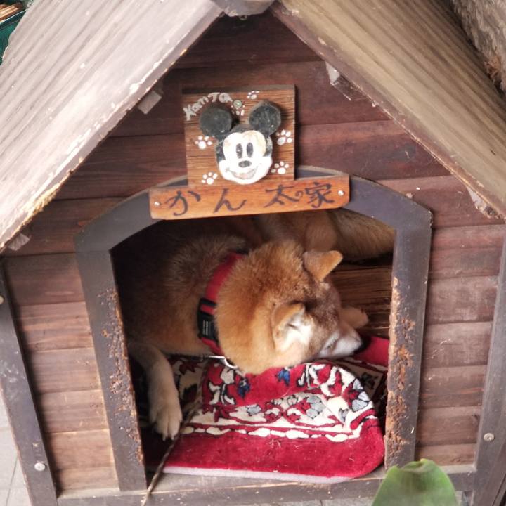 Beeec8c3 f9e0 4481 ba03 63c8b4f9b8fd 1732667822114