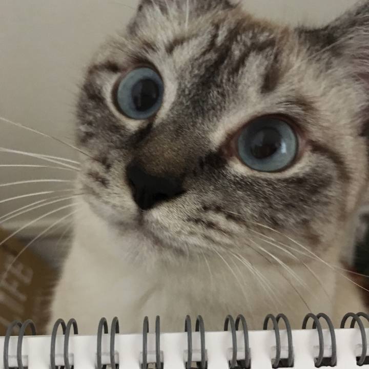 Beef5135 edbc 4a42 bf02 8691f769d8f6 1563495541306